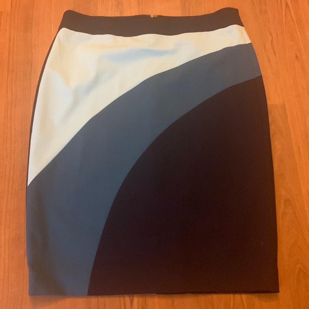 NWOT Ann Taylor skirt